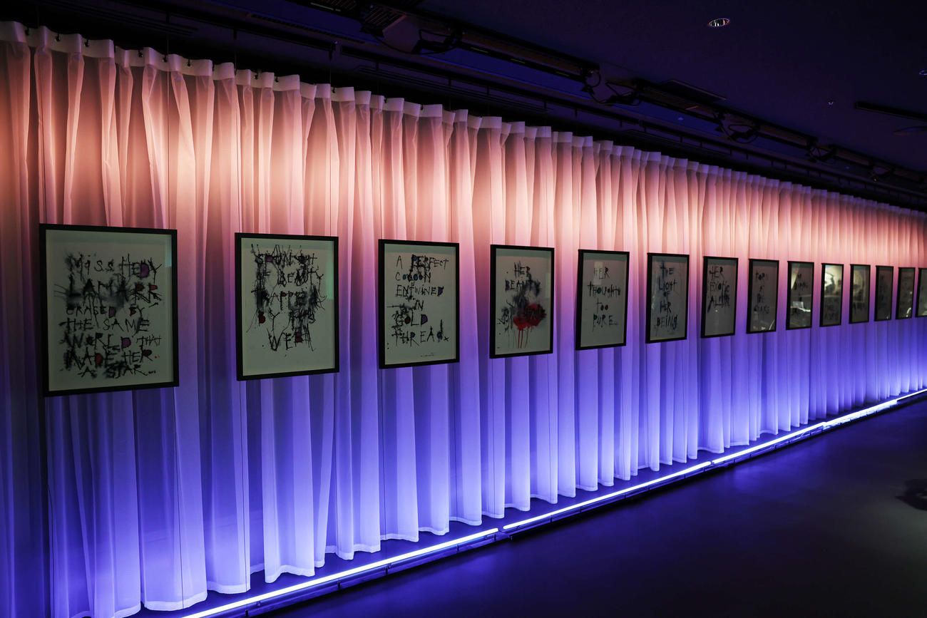 没入型アート展「A Bunch of Stuff－Tokyo」の作品（撮影・鈴木正人）