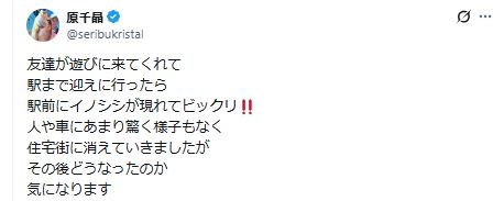 原千晶のXから