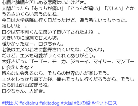 なべやかんのインスタグラムから