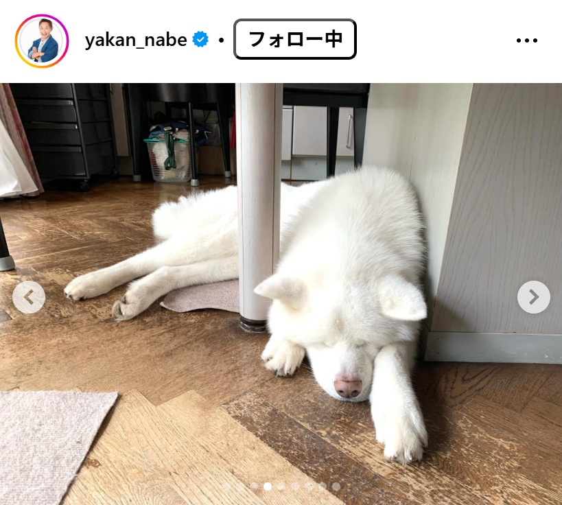 なべやかんのインスタグラムから