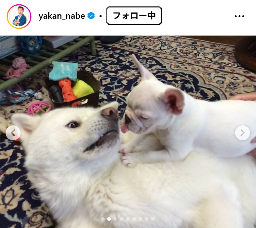 なべやかんのインスタグラムから