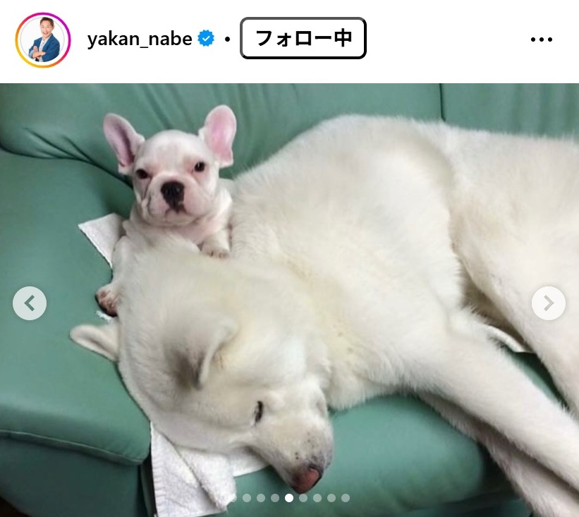 なべやかんのインスタグラムから