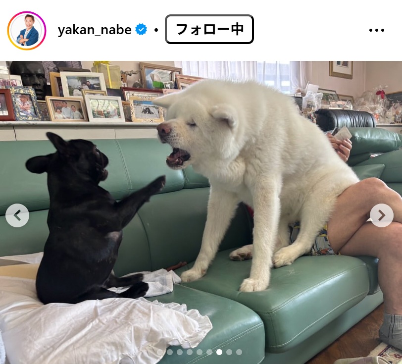 なべやかんのインスタグラムから