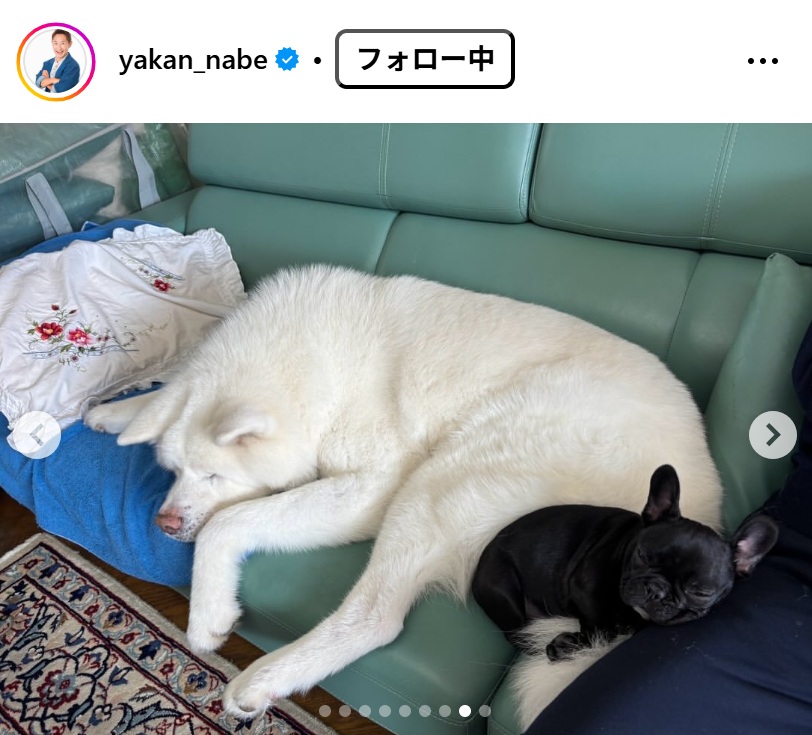 なべやかんのインスタグラムから
