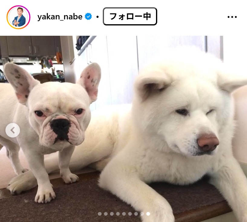 なべやかんのインスタグラムから