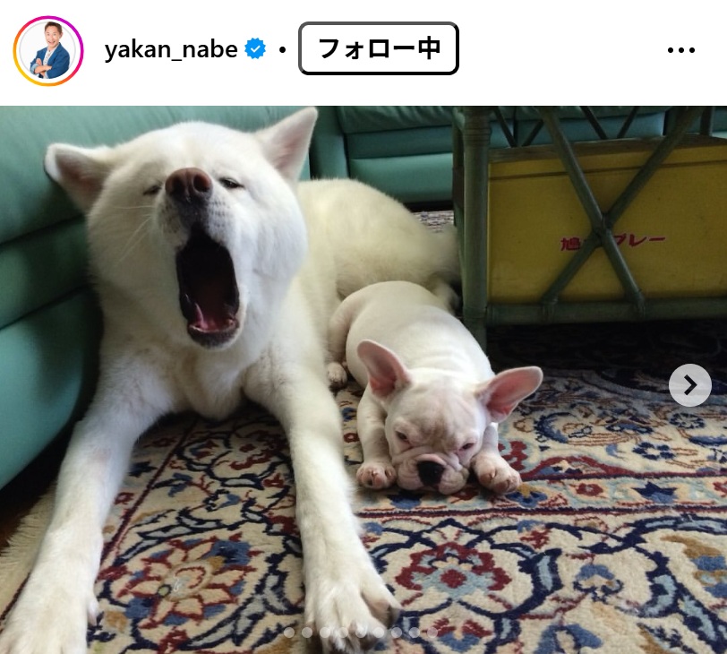 なべやかんのインスタグラムから