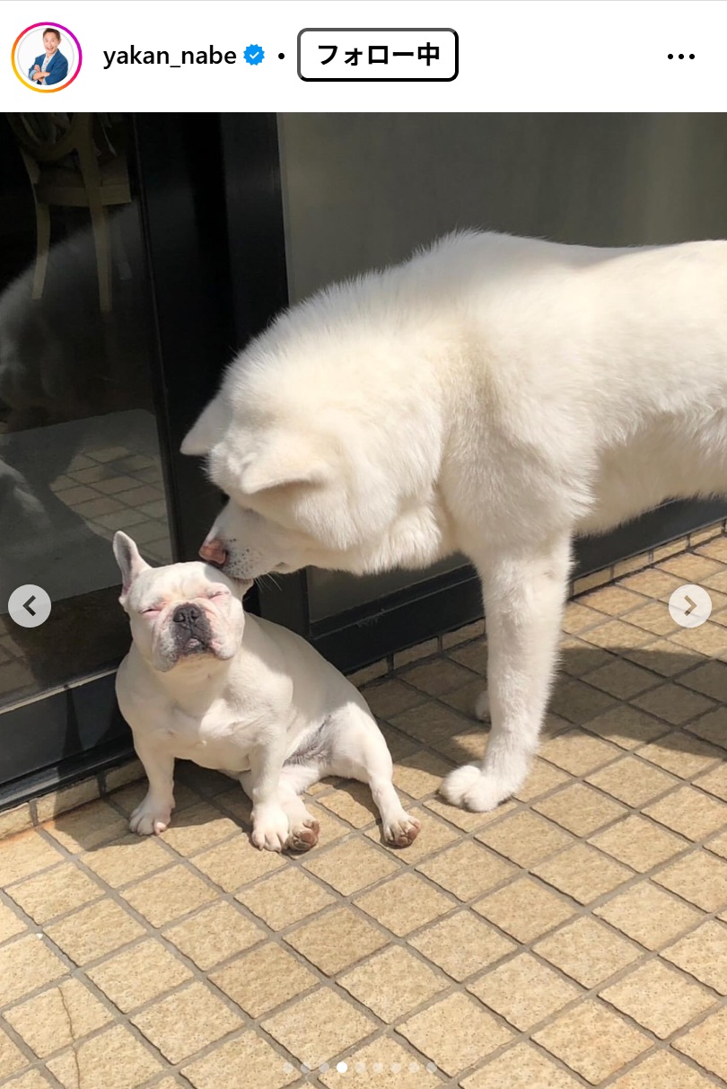 なべやかんのインスタグラムから