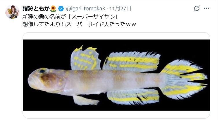 猪狩ともかのX（旧ツイッター）から