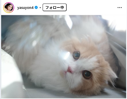 斎藤恭代のインスタグラムから