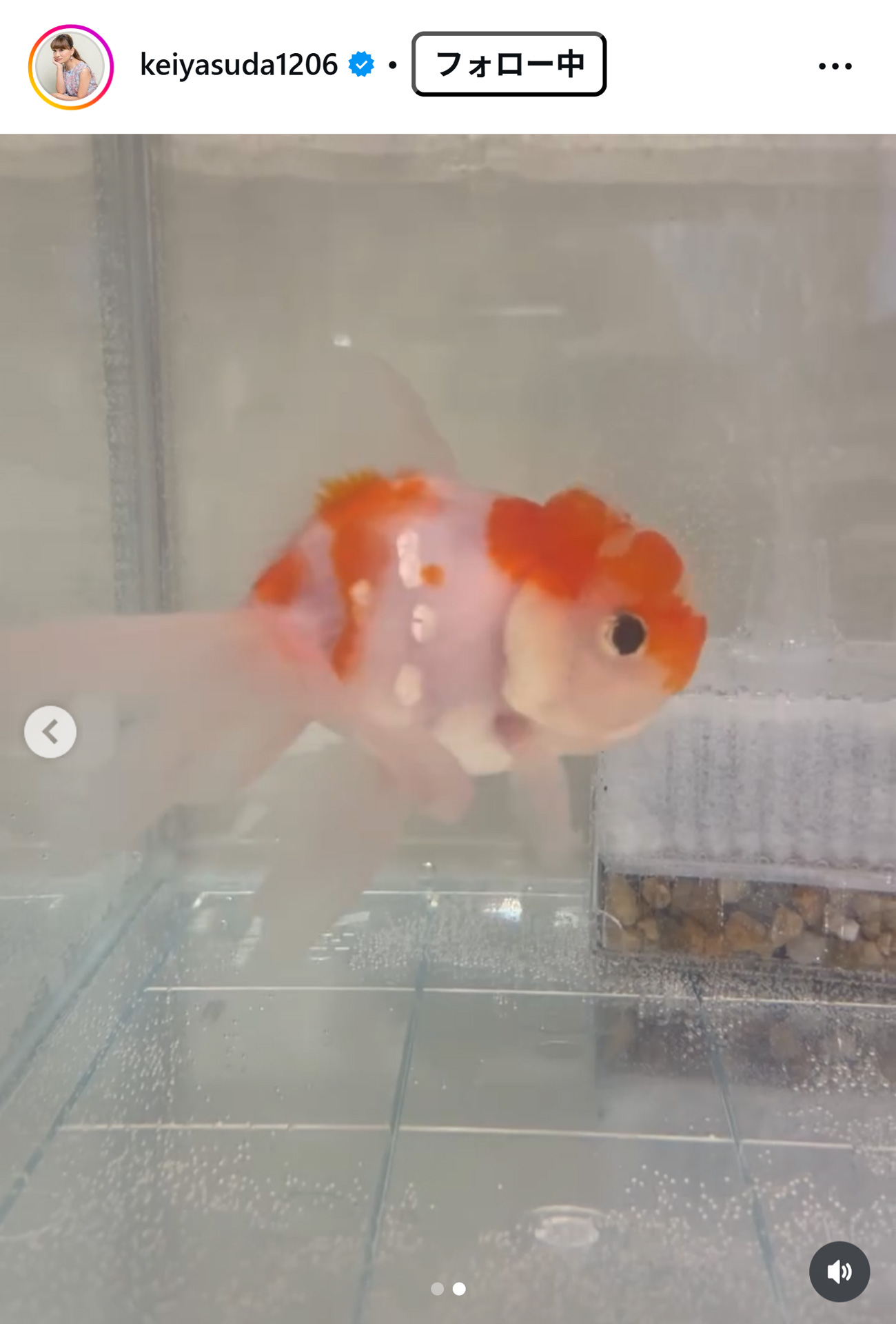 保田圭のインスタグラムから