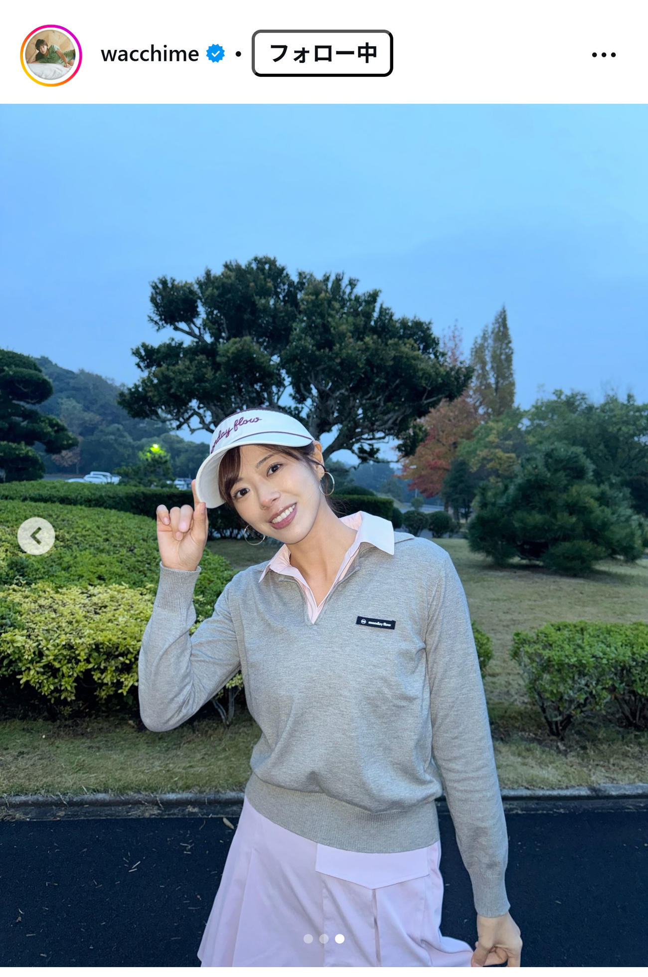 わちみなみのインスタグラムから