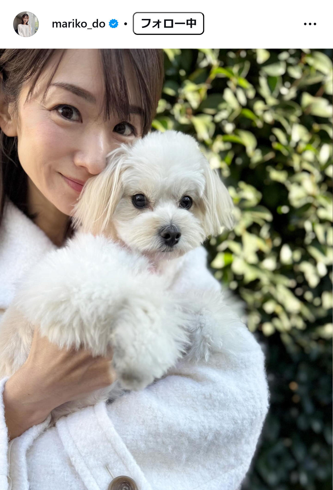 堂真理子のインスタグラムから