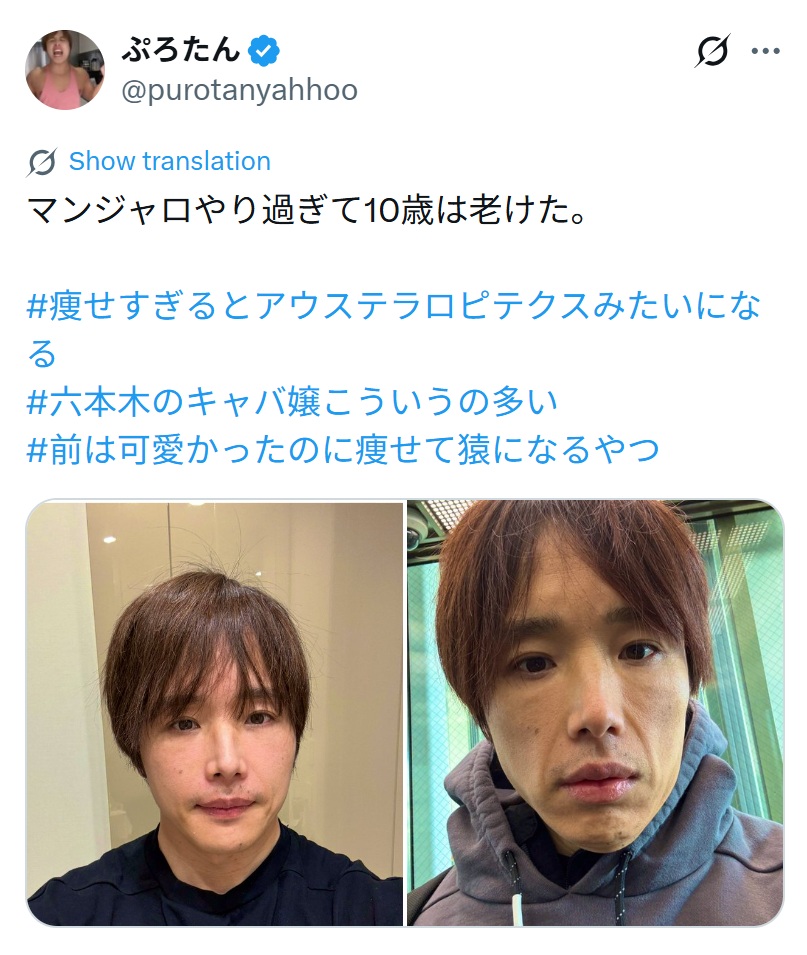 ぷろたんのXから