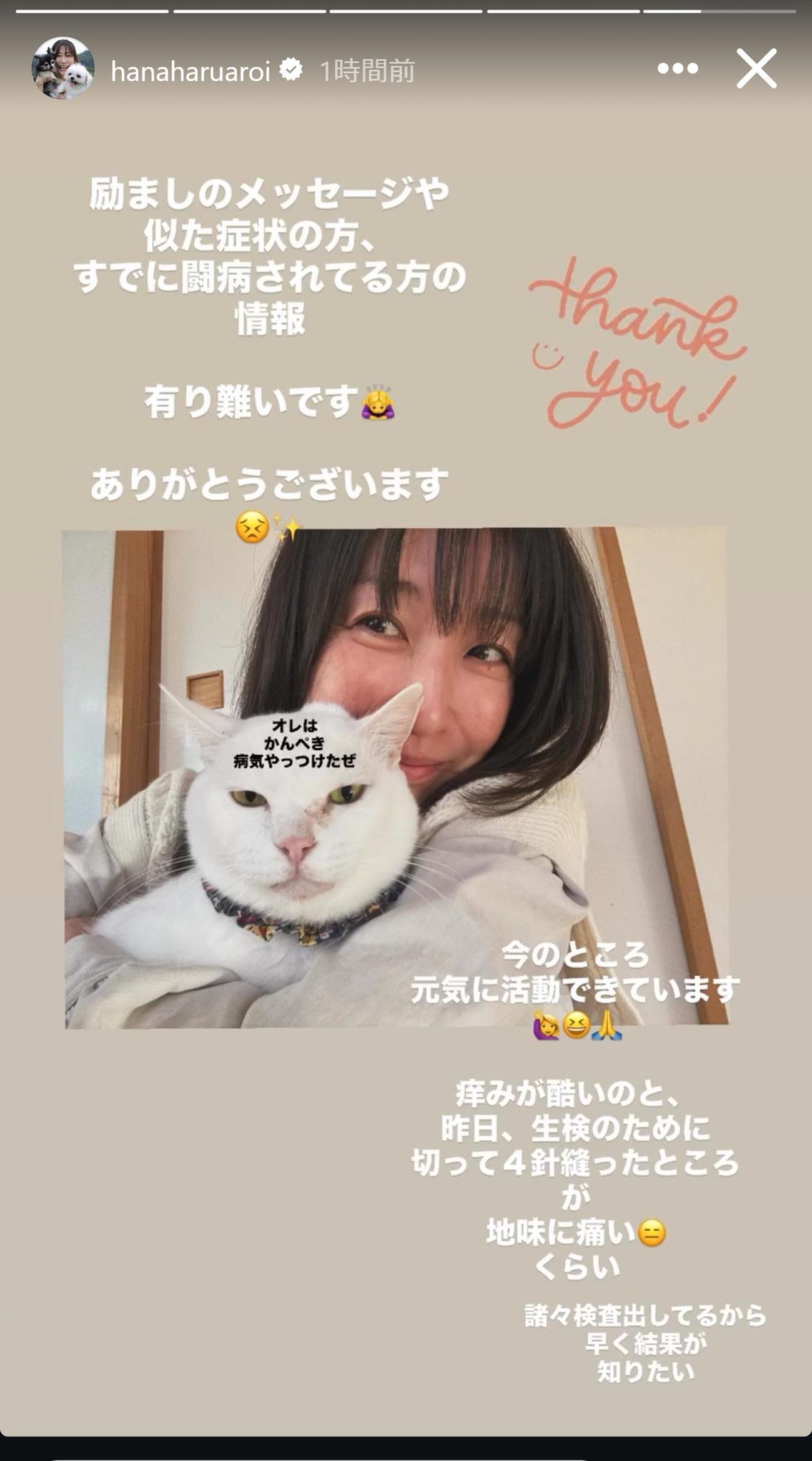 小野真弓のインスタグラムから