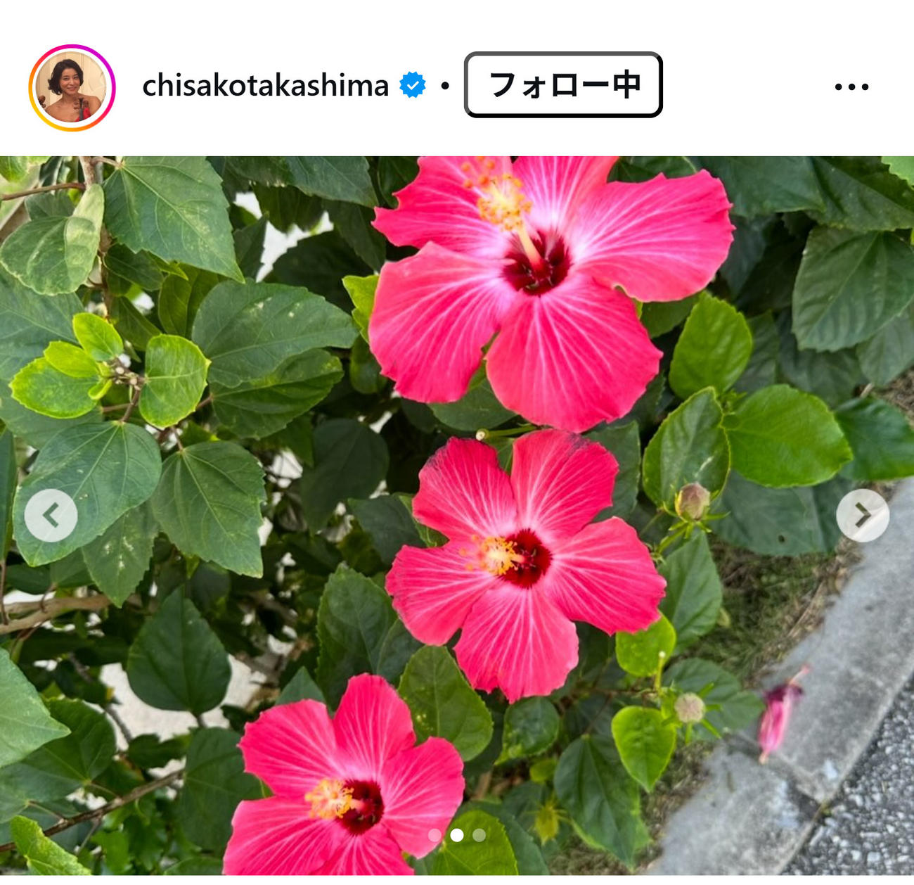 高嶋ちさ子のインスタグラムから