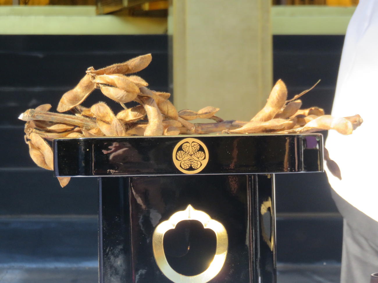 「鞘とり」される前の枝豆
