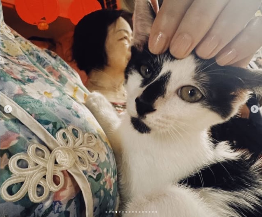 吉岡里帆のインスタグラムから