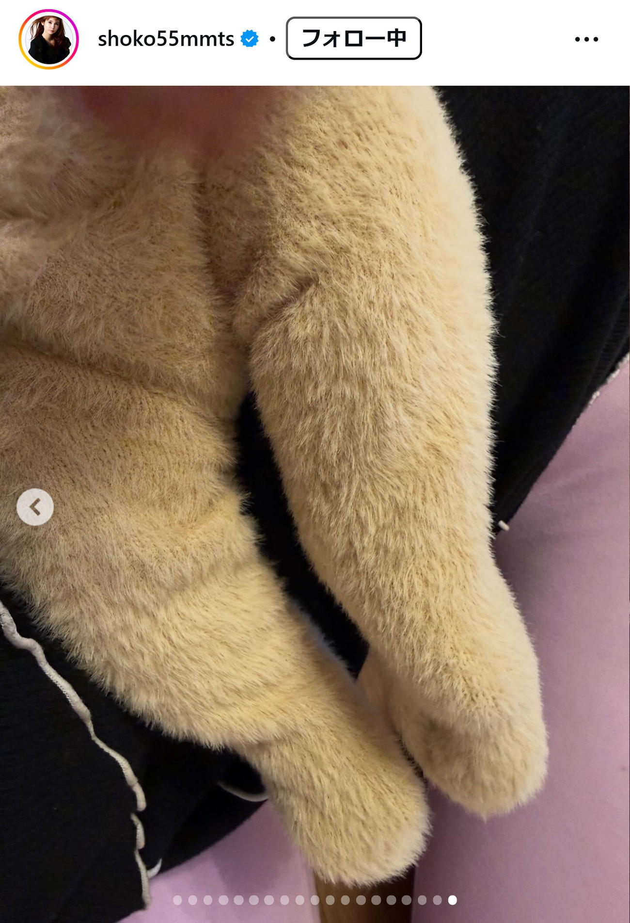中川翔子のインスタグラムから