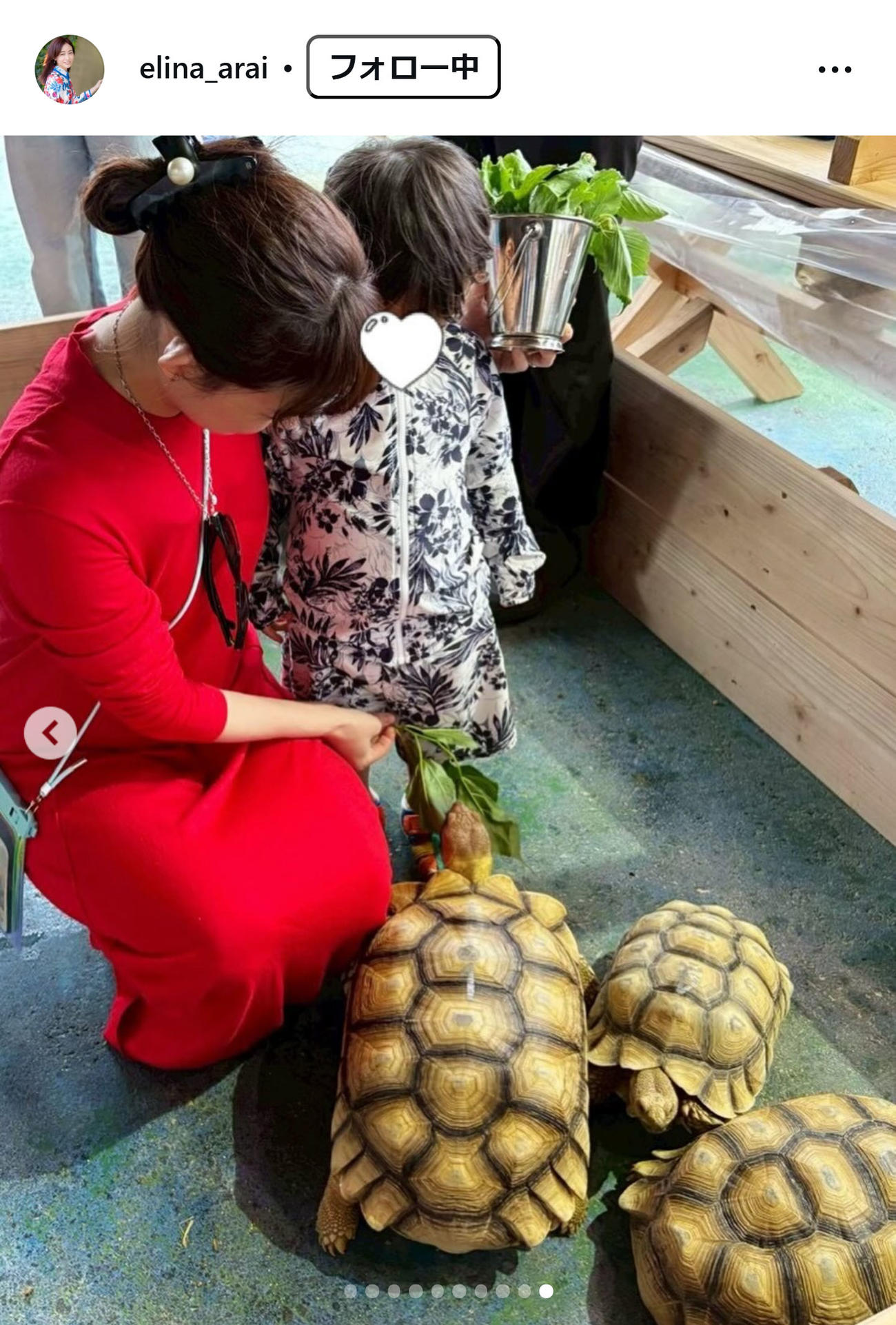 新井恵理那のインスタグラムから
