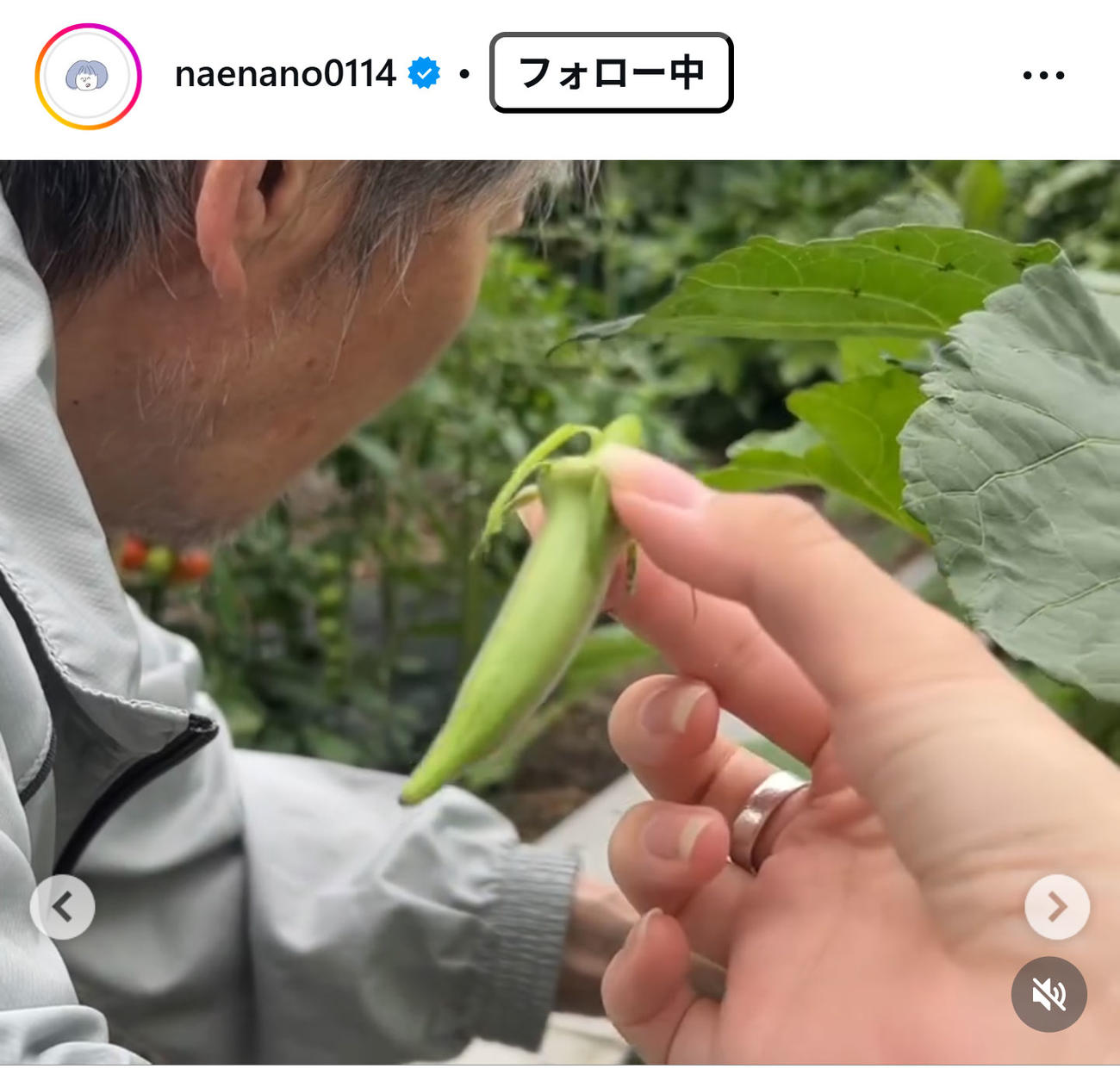 なえなののインスタグラムから