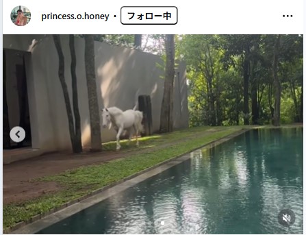 後藤真桜のインスタグラムから