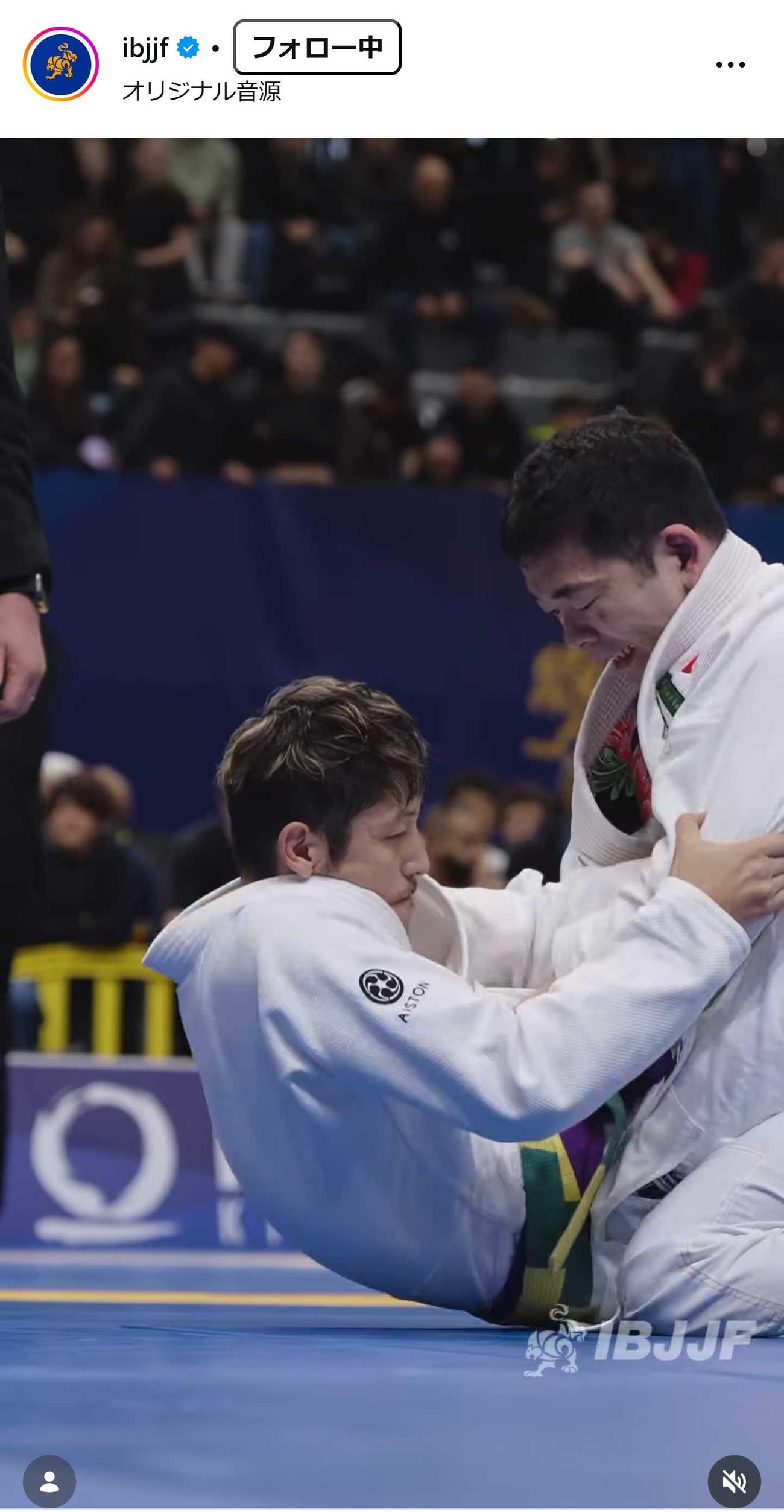 IBJJFのインスタグラムから