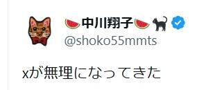 中川翔子のXから