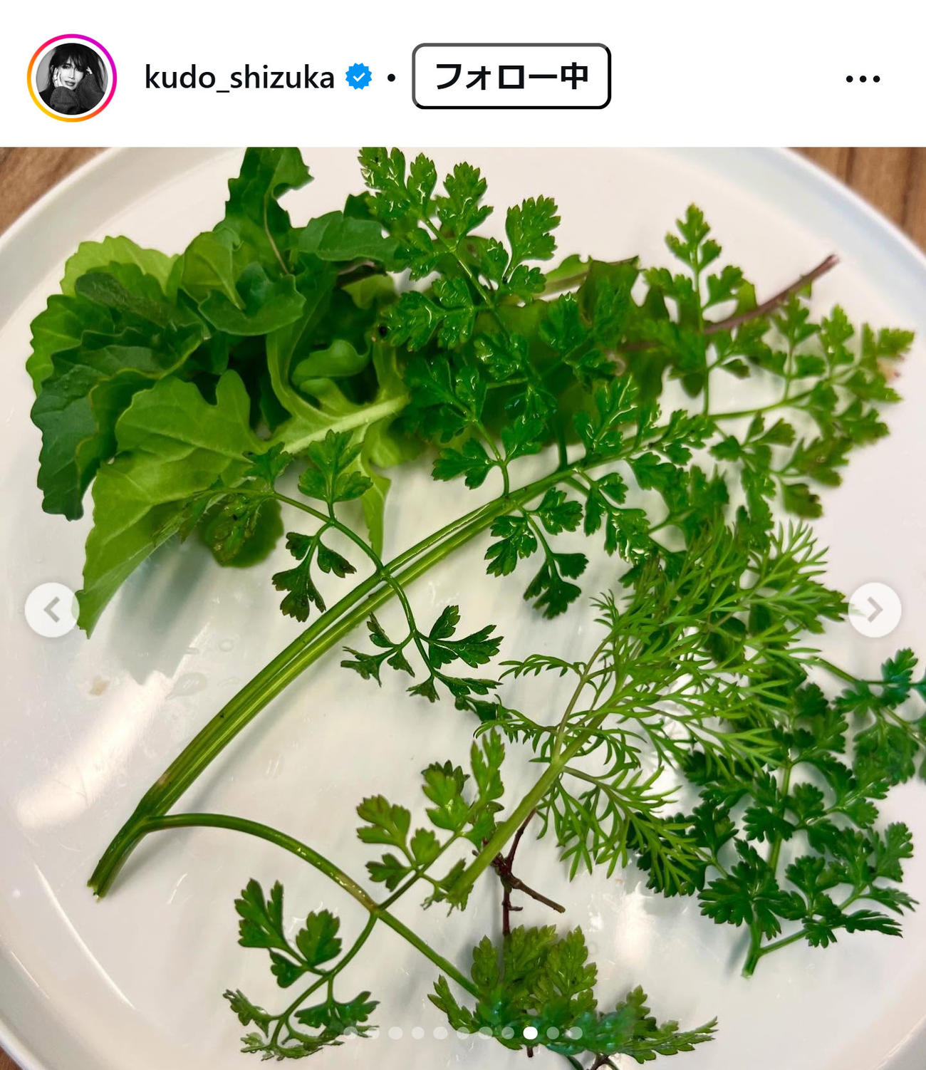 工藤静香のインスタグラムから
