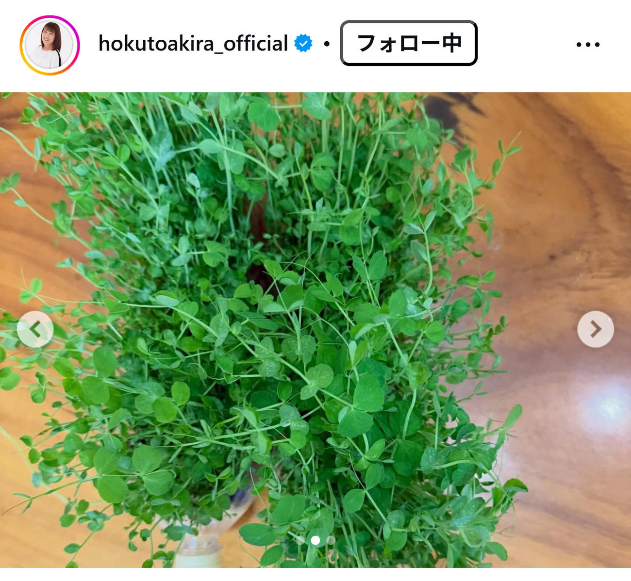 北斗晶のインスタグラムから