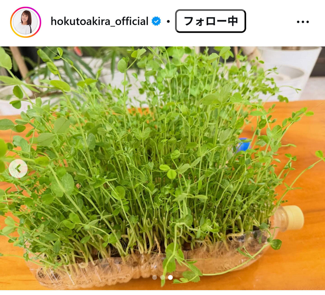 北斗晶のインスタグラムから