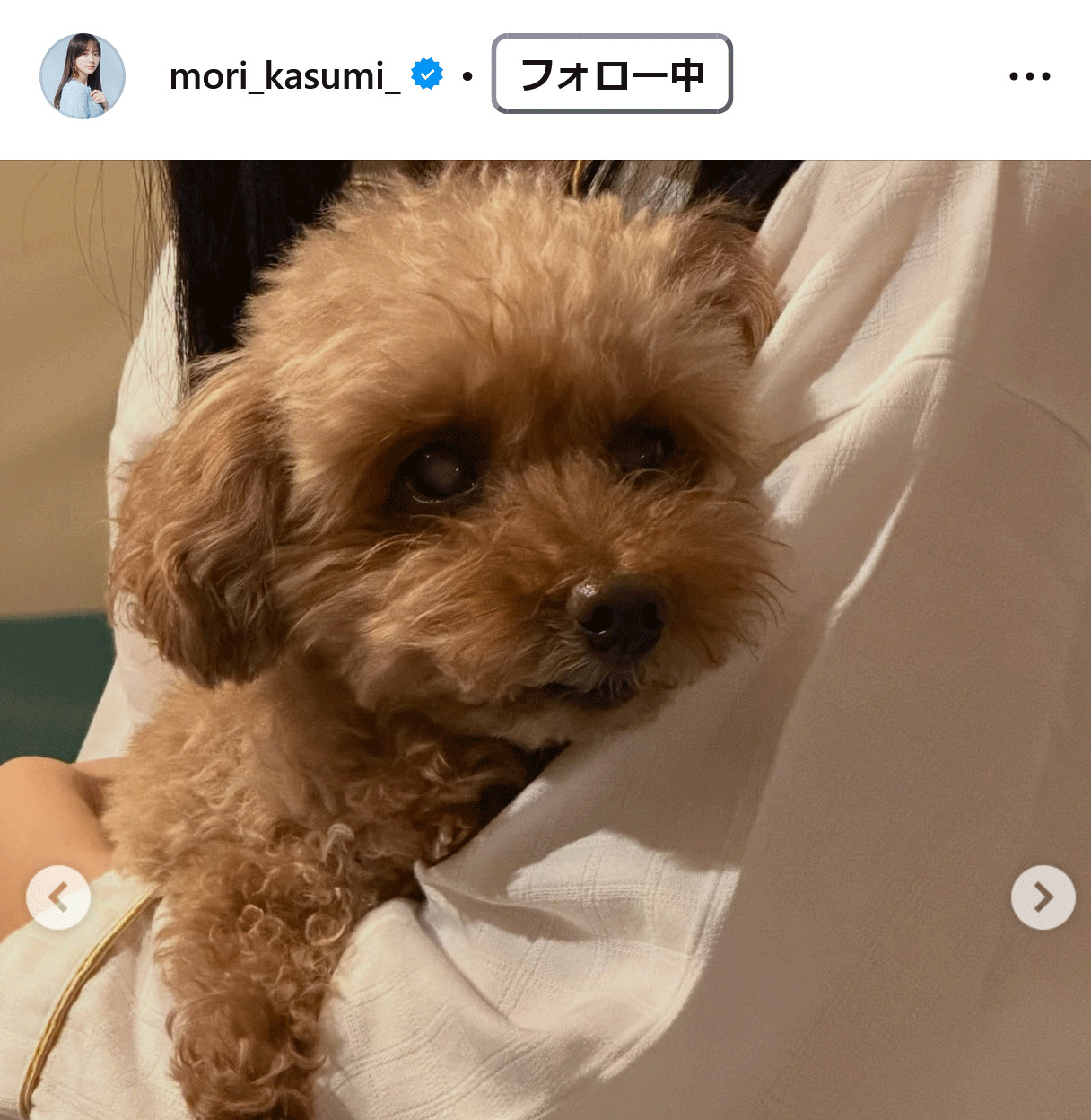 森香澄のインスタグラムから