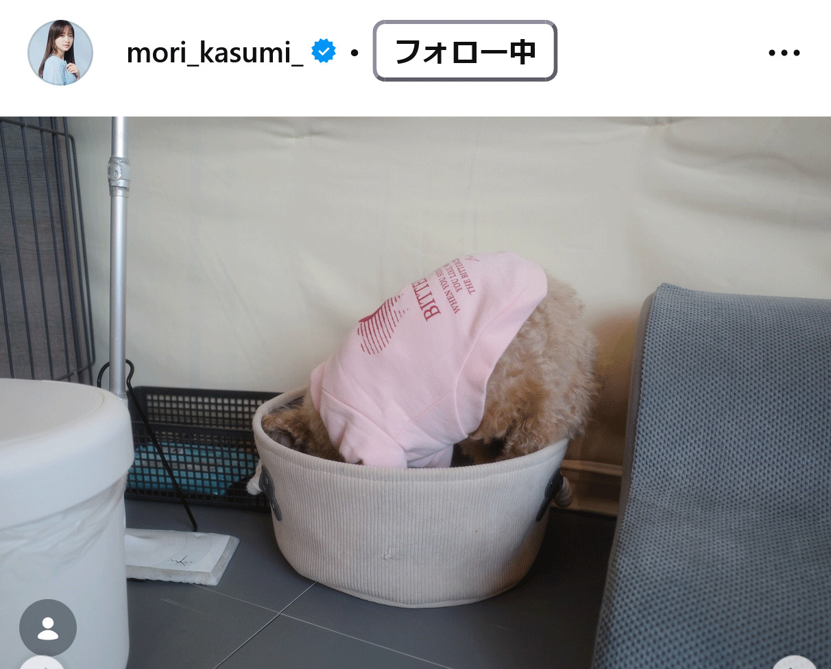 森香澄のインスタグラムから