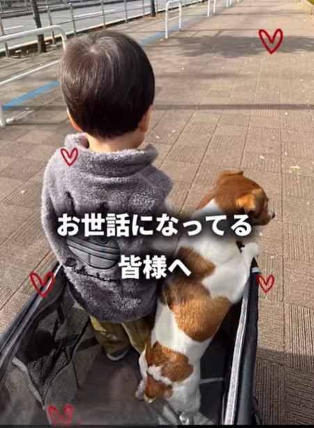 りんたろー。のインスタグラムから