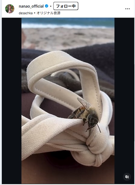 菜々緒のインスタグラムから