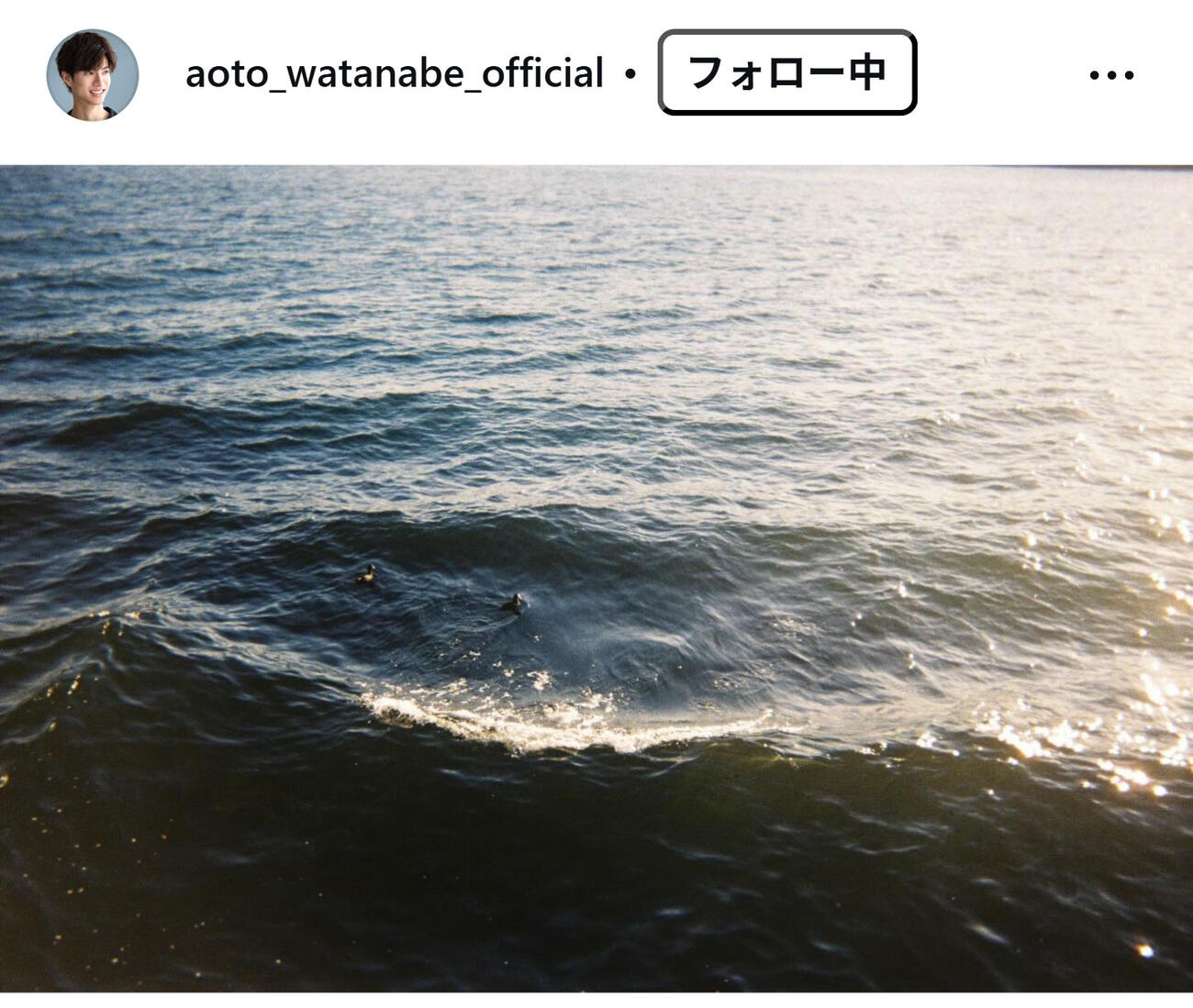 渡辺碧斗のインスタグラムから