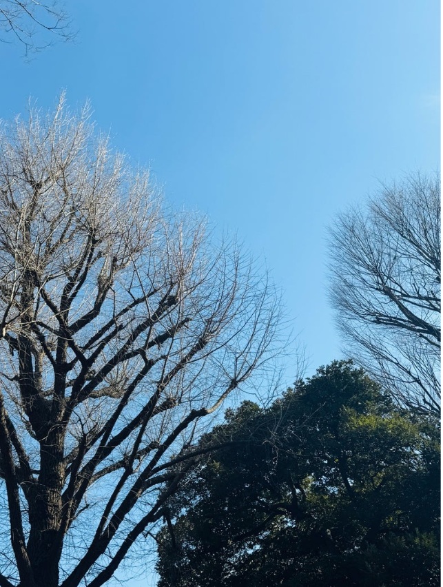 だいたひかるのブログから
