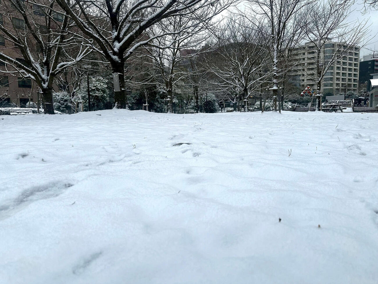雪が積もった東京・築地（撮影・藤尾明華）