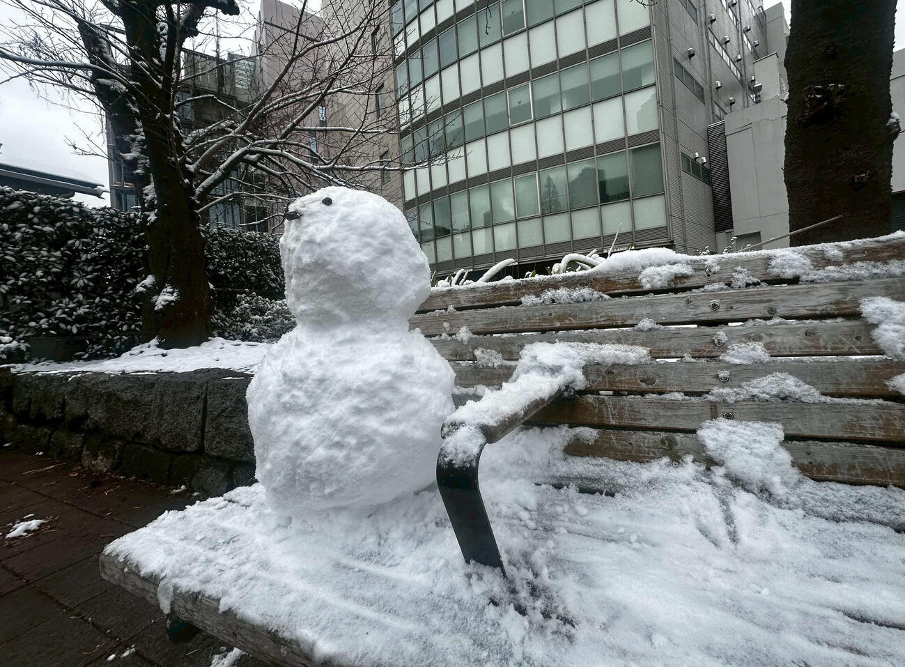 雪が積もった東京・築地（2026年2月撮影）