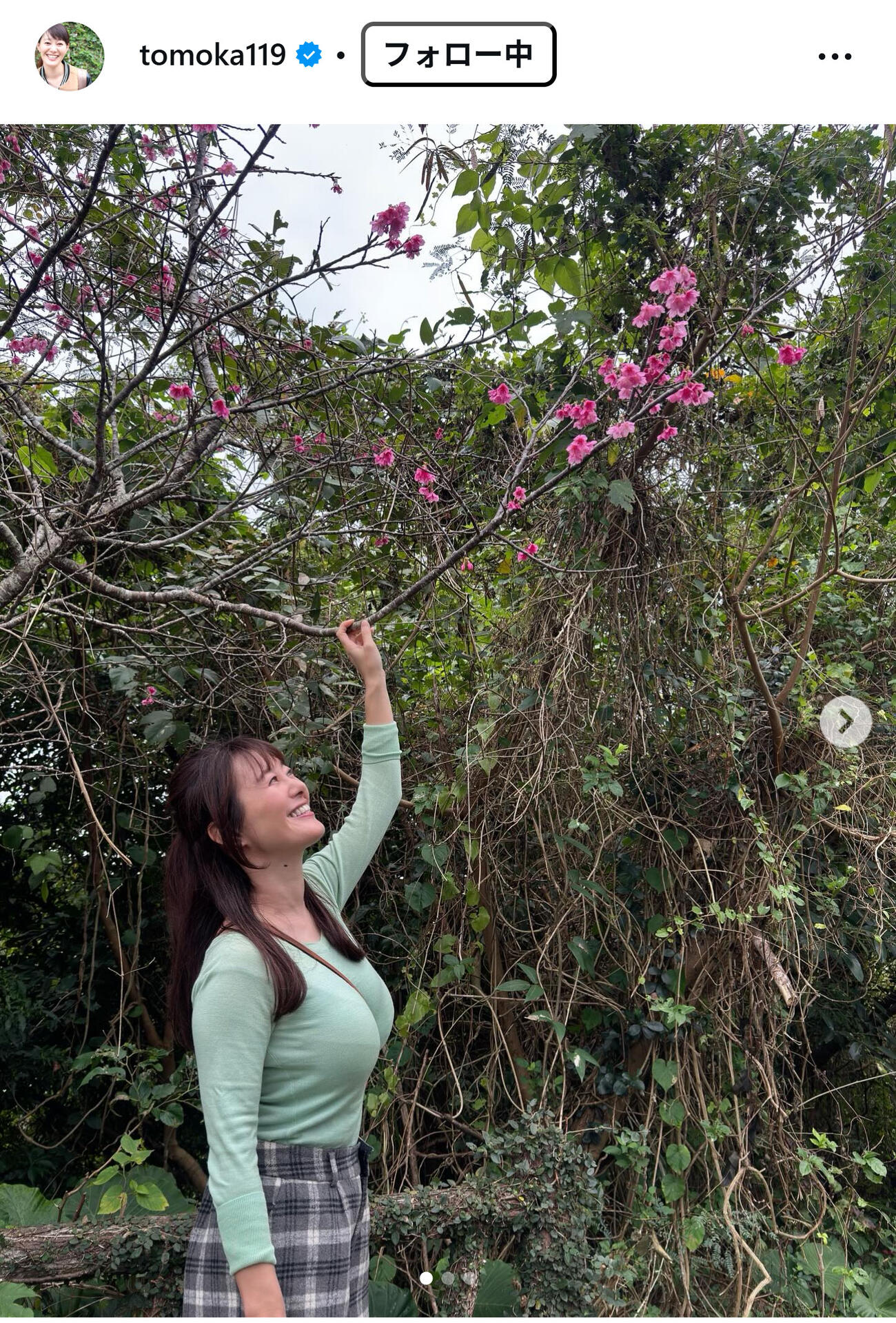 竹中知華アナのインスタグラムから