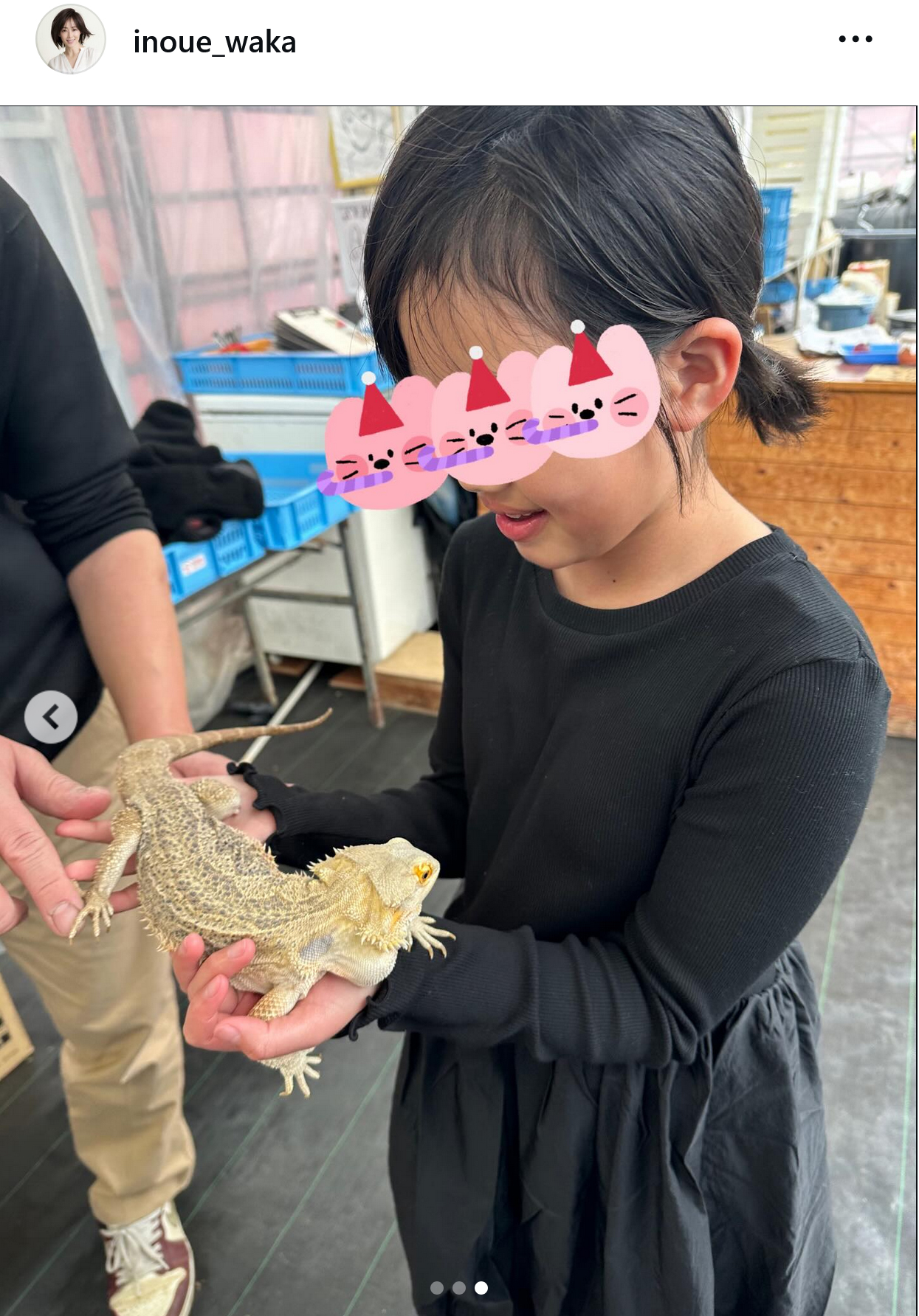 井上和香のインスタグラムから
