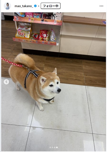 髙野真央のインスタグラムから