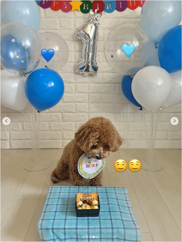 渡邉結衣アナのインスタグラムから