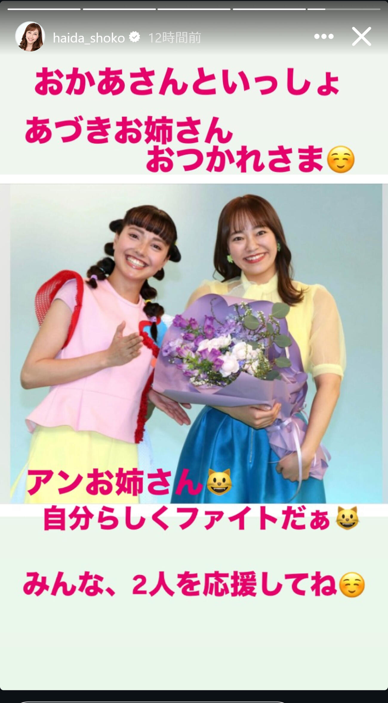 はいだしょうこのインスタグラムから