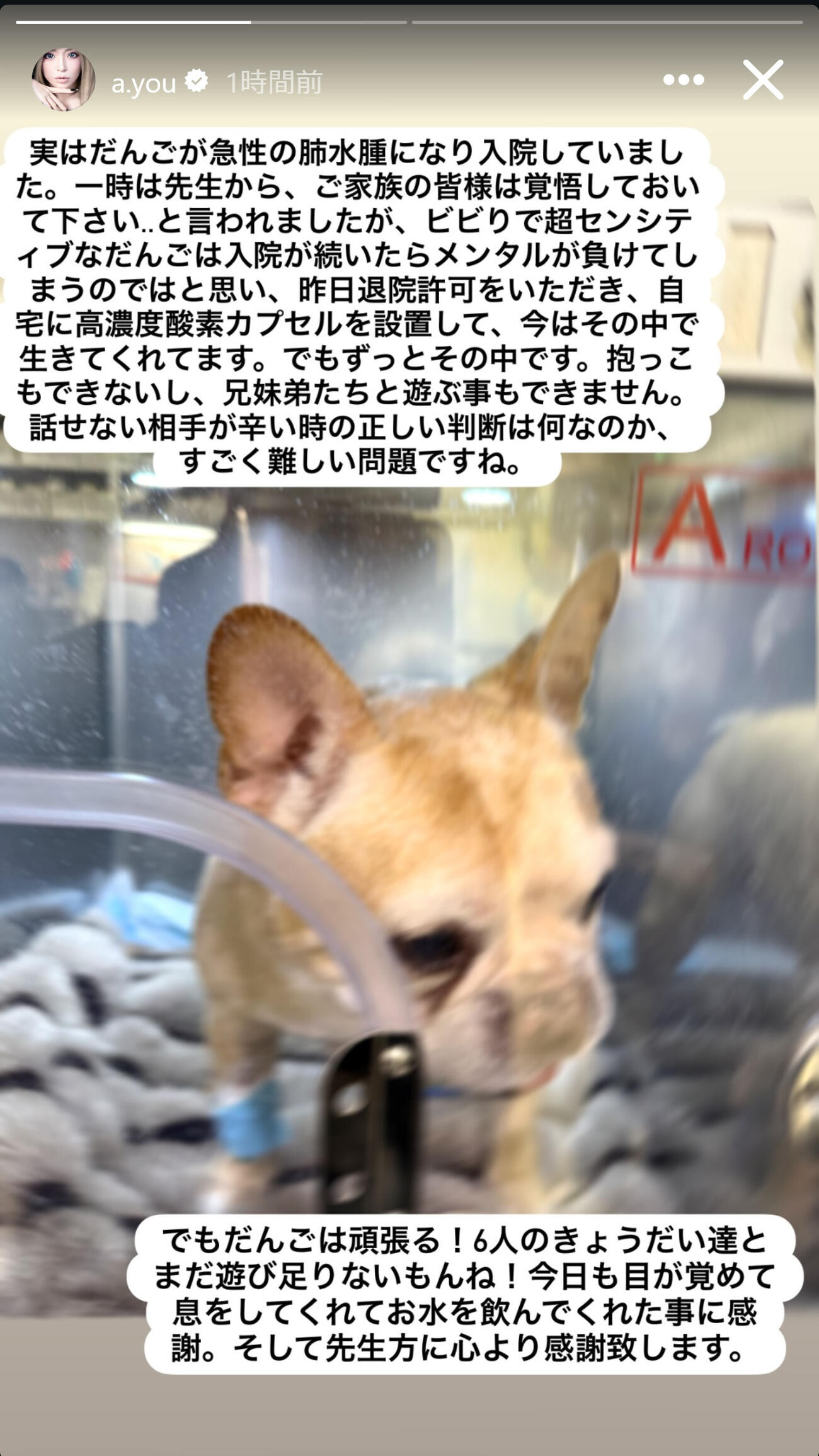 浜崎あゆみのインスタグラムから