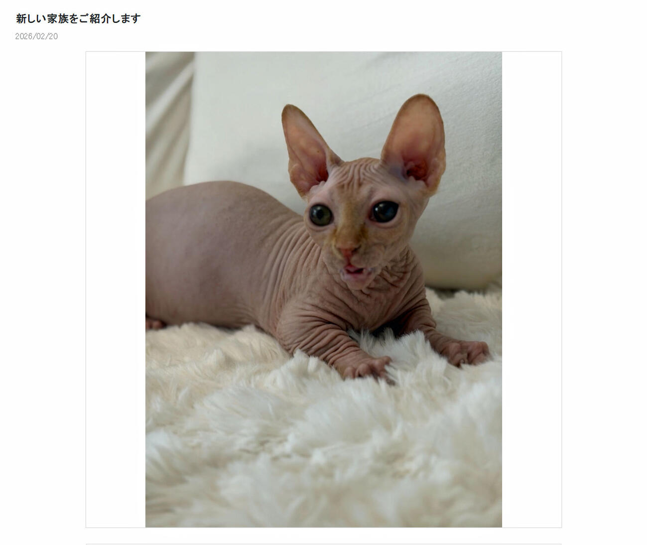 川﨑麻世のブログから
