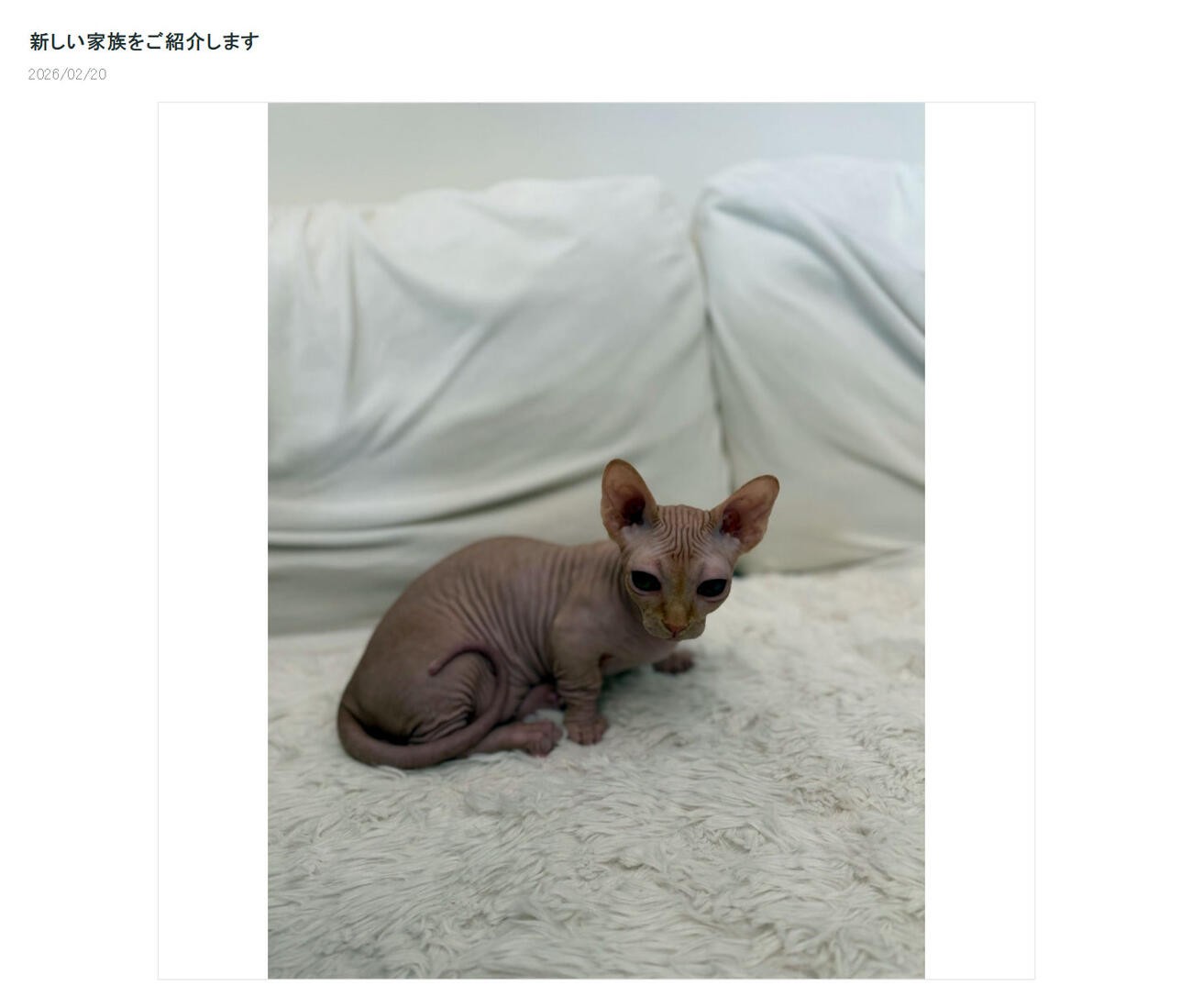 川﨑麻世のブログから