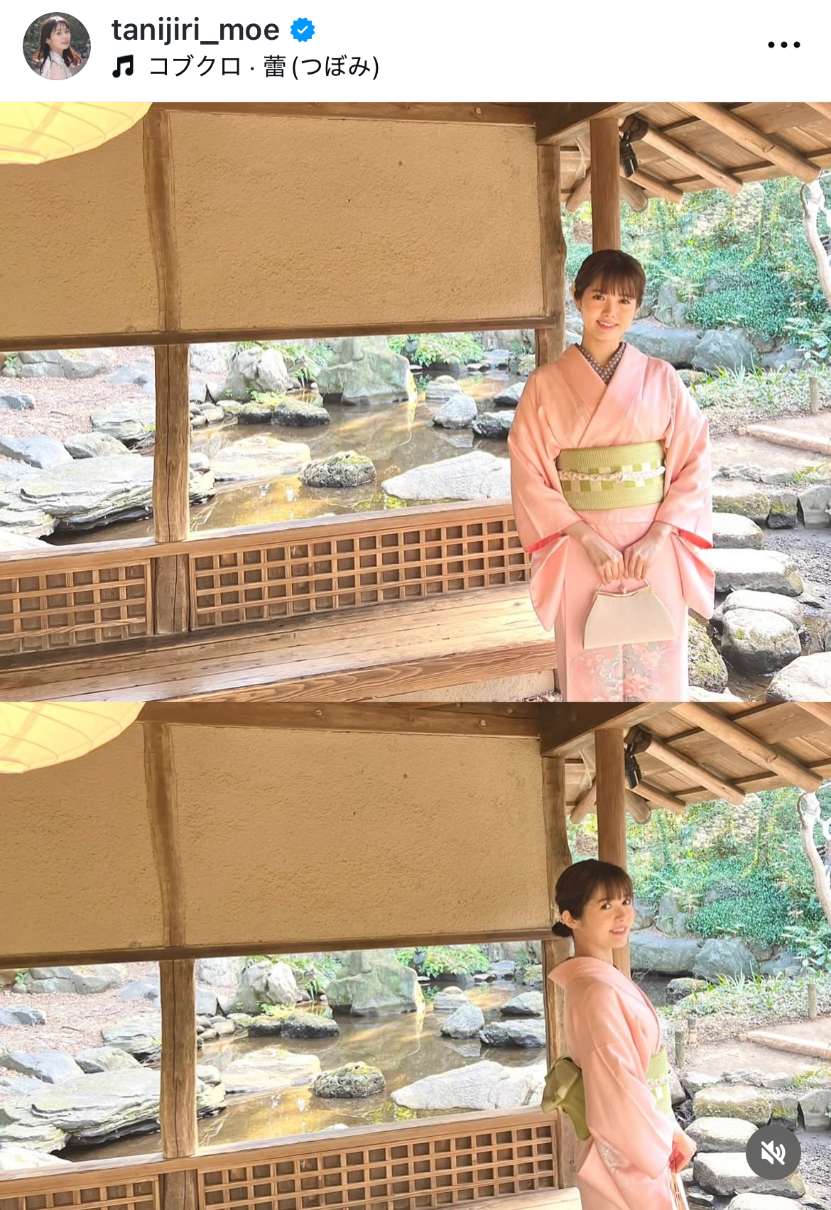 谷尻萌のインスタグラムから
