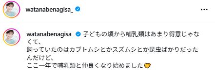 渡邊渚のインスタグラムから
