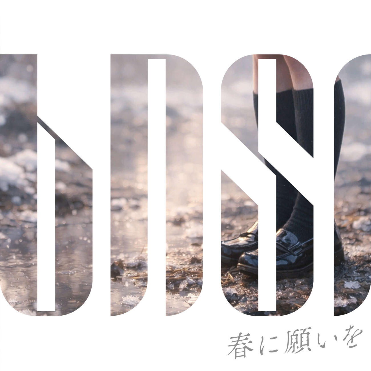 BNSIの3rdシングル「春に願いを」（（C）2026 Zest, Inc.）