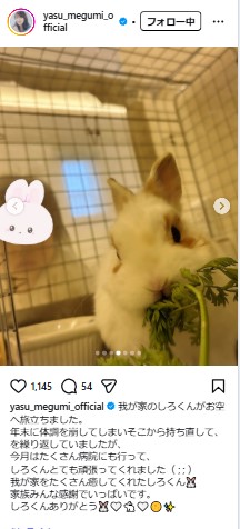 安めぐみのインスタグラムから